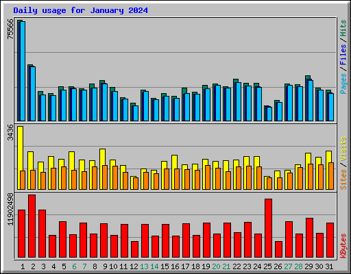 Daily usage for January 2024