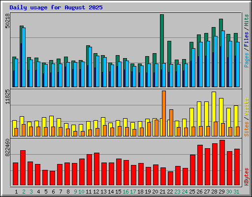 Daily usage for August 2025