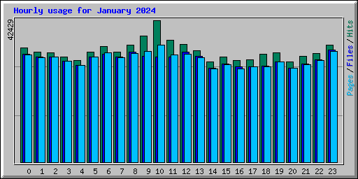 Hourly usage for January 2024