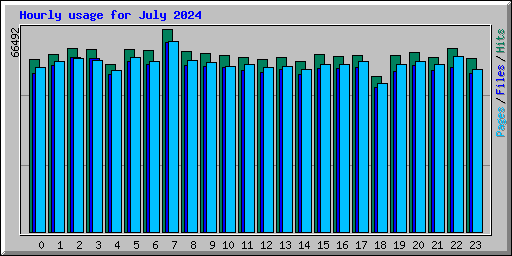 Hourly usage for July 2024