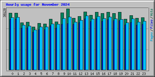 Hourly usage for November 2024