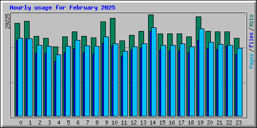 Hourly usage for February 2025