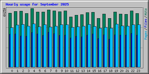 Hourly usage for September 2025