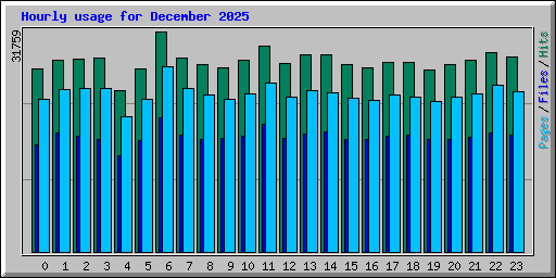 Hourly usage for December 2025